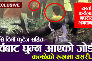 पुर्वका एक जोडी रुखमा झुण्डिएको अवस्थामा फेला (भिडियो सहित)