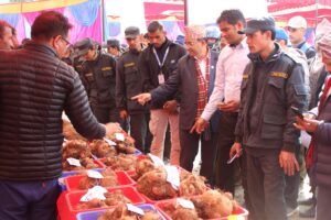 उत्पादन वृद्धि र बजार सुनिश्चितता व्यवस्थापन गर्न महानगर प्रतिवद्ध : प्रमुख आचार्य