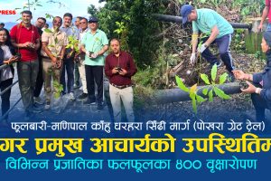 फूलबारी–मणिपाल काँहु धरहरा सिँढीमार्गमा वृक्षारोपण