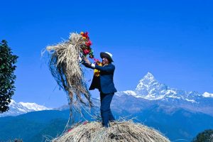 चुरुङ्गामा तेस्रो संस्करणको दाँई महोत्सव ! कृषकहरूलाई प्रोत्साहन र उत्प्रेरणा