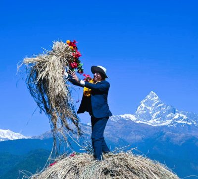 चुरुङ्गामा तेस्रो संस्करणको दाँई महोत्सव ! कृषकहरूलाई प्रोत्साहन र उत्प्रेरणा